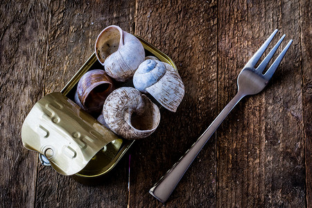 蜗牛壳摄影照片_蜗牛壳和锡罐在一张木老桌上