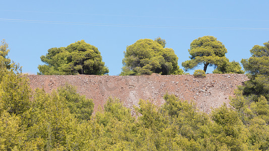 希腊一排树