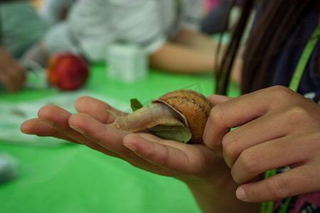 一只蜗牛在手