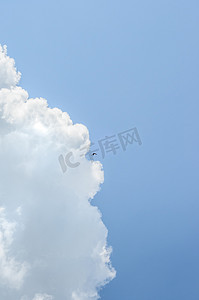 小燕子奶摄影照片_深蓝天空中的小燕子