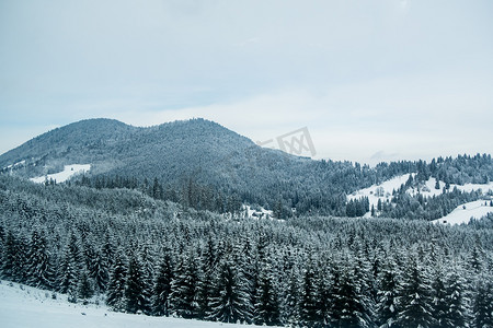 罗马尼亚大雪冬季山林景观