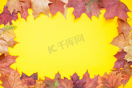 框架由红色和橙色的秋天枫叶制成，背景为亮黄色。