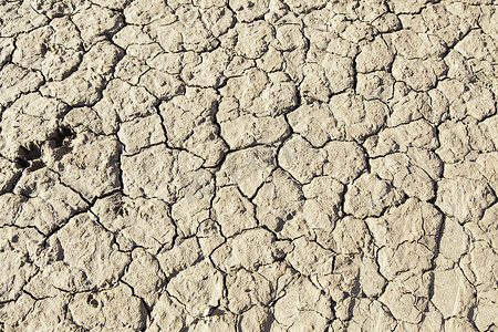 干旱导致土壤干涸