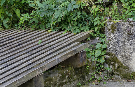 一只燕雀（Fringilla coelebs）坐在漂绒厂的栅栏上