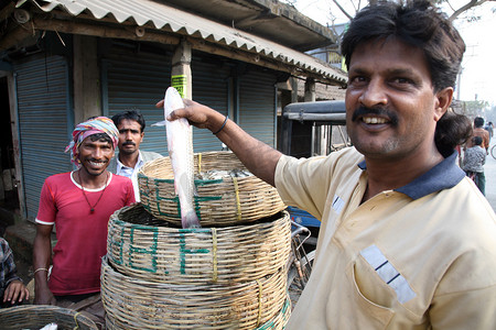 西孟加拉邦 Kumrokhali 鱼市鱼贩的画像