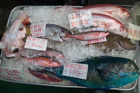 日本冲绳出售的冰鱼