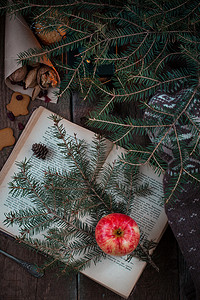 圣诞树树枝上的红黄苹果，黑灯笼或烛台旁的一本旧书