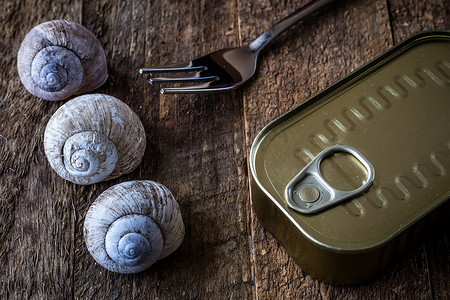 蜗牛壳和锡罐在一张木老桌上