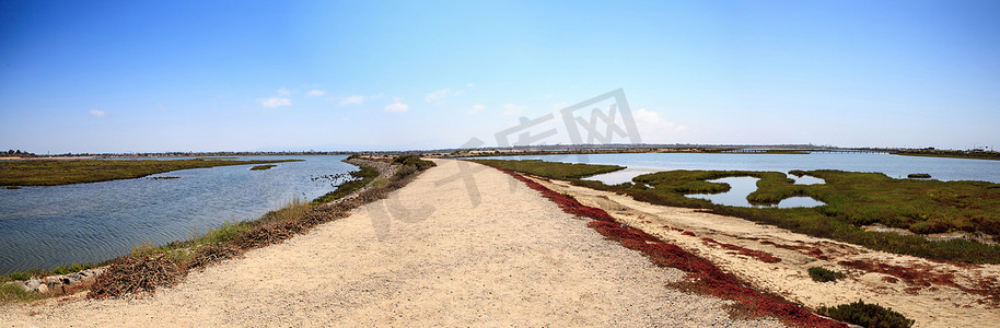 沿着 Bolsa Chica wetlan 宁静祥和的沼泽小径