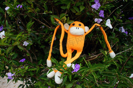 猴年剪纸摄影照片_针织猴子，象征 2016 年，猴年