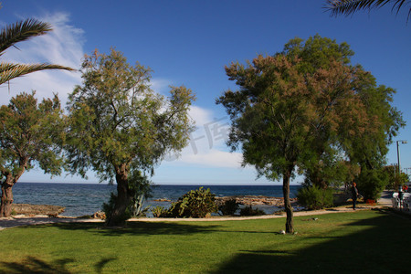 草坪平面图摄影照片_马略卡岛
