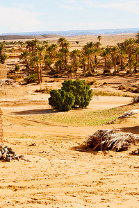文化墙村摄影照片_摩洛哥棕榈岛和历史村的撒哈拉沙漠