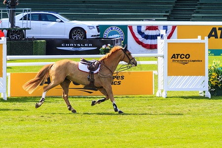 Spruce Meadows 国际马术比赛，