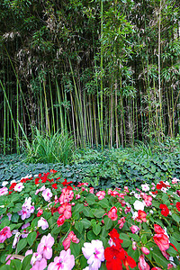 竹子背景上有小装饰性多色花的花坛