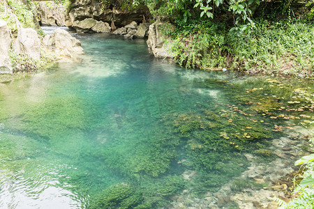 自然界中的深林瀑布，老挝万荣