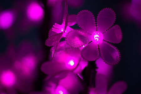 电花摄影照片_花朵形状的LED灯