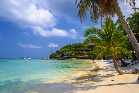 椰子海滩摄影照片_在热带 Haad Yao 海滩，Koh Phangan 海岛，苏的椰子树