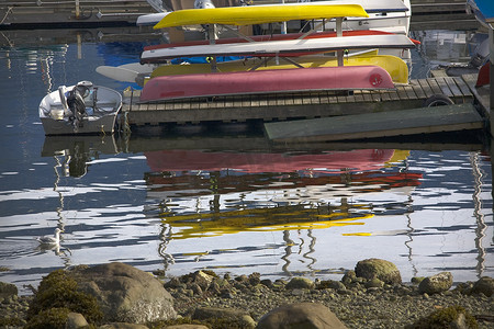 加拿大不列颠哥伦比亚省温哥华深湾港的海鸥船倒影