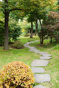 秋天公园的石头小路