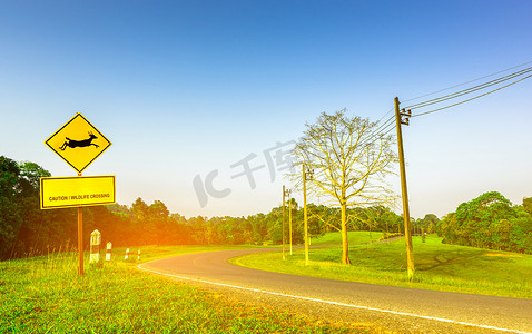 黄色交通标志，鹿在标志内跳跃，在弯道柏油路上有“小心野生动物穿越”的信息。