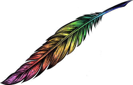 插图彩色的鸟的羽毛
