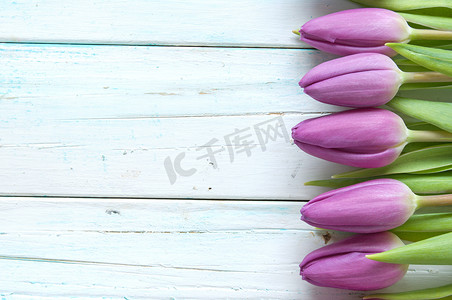 木制背景上的紫色郁金香