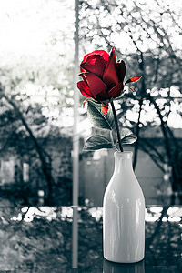漂亮的桌面背景摄影照片_玻璃花瓶中的红玫瑰花