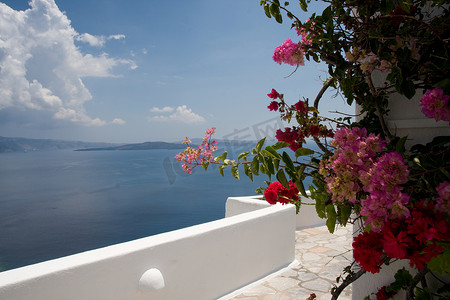 鲜花从摄影照片_从希腊圣托里尼别墅露台看海景