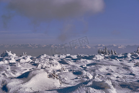 中国风云纹插画摄影照片_波兰冬季塔特拉山脉白雪覆盖的云杉景观