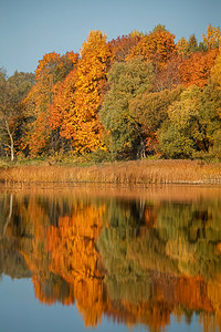 与五颜六色的树和反射在河的秋天风景。