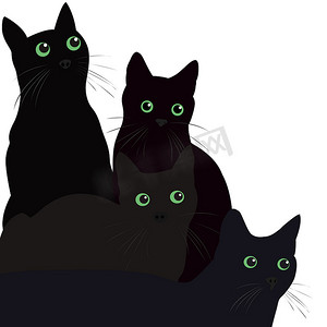 小动物黑猫摄影照片_白色背景上绿眼睛的黑猫