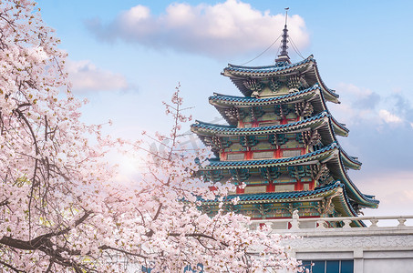 堡垒摄影照片_韩国首尔景福宫春天的樱花。