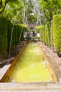 方型剪纸摄影照片_Hort del Rei 喷泉花园 Palma de Mallorca