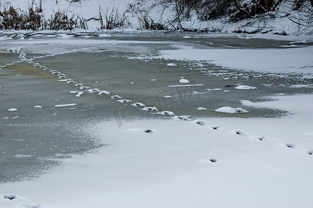 冬季公园冰冻池塘中动物的踪迹
