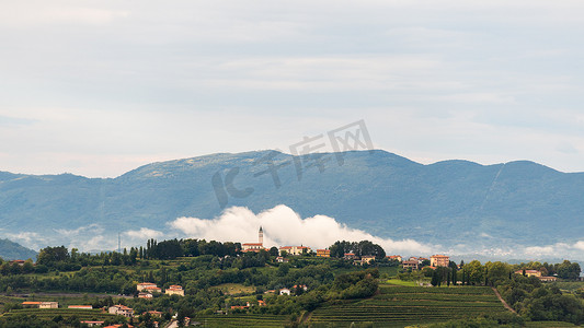 弗洛伊德玫瑰摄影照片_意大利圣弗洛里亚诺德尔科利奥的 Steverjan 村，在白色低白云前有教堂，Goriska Brda，有葡萄园和果园