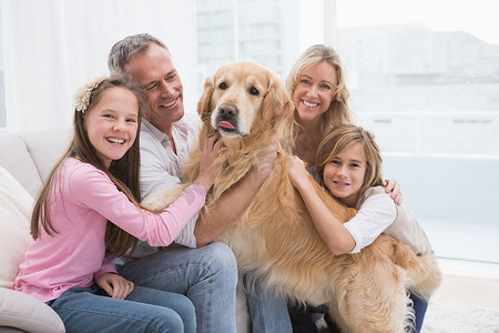 可爱的家庭在沙发上抚摸他们的金毛猎犬