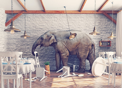 餐厅里的大象