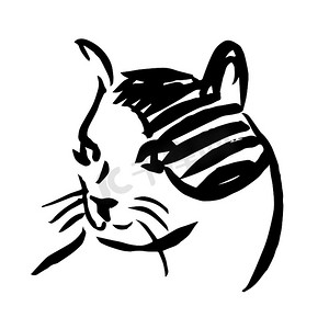 动物设计手绘摄影照片_手绘素描插图的猫，小猫