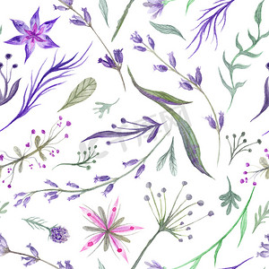 紫色薰衣草水彩草本图案
