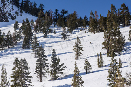 2017 年 1 月，加利福尼亚州猛犸湖的山坡上有滑雪者，