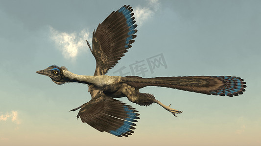 始祖鸟鸟类恐龙飞行 — 3D 渲染