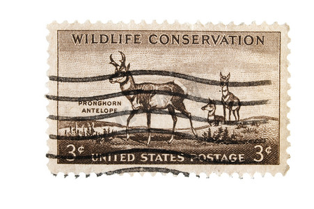 邮戳美国摄影照片_复古美国邮票