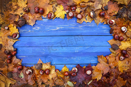 在干燥的棕色栗叶和成熟的栗子或欧洲七叶树果实的框架中陈旧的蓝色木板。