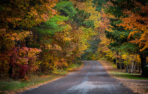 深秋落叶摄影照片_深秋，县道沿线树叶颜色的变化。