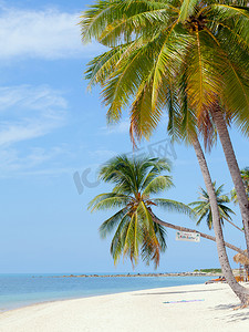 苏梅岛背景摄影照片_Baan Tai 海滩苏梅岛，泰国的地标