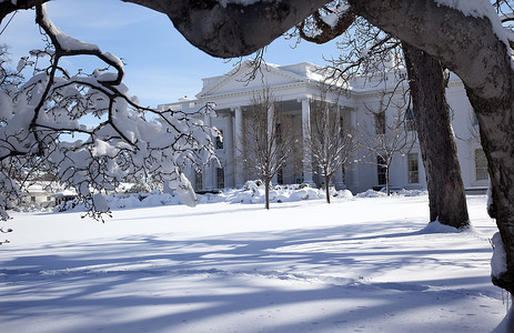 雪后宾夕法尼亚大道华盛顿特区的白宫树