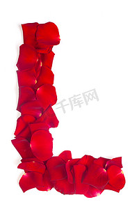 由红色花瓣制成的字母 L 玫瑰白底