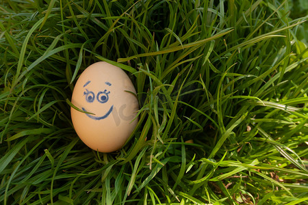 米色鸡蛋带着微笑和眼睛在新鲜多汁的绿草背景上。