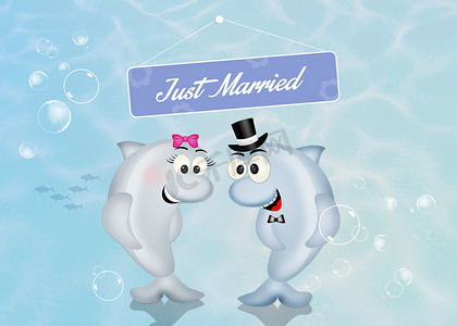 海豚的婚礼