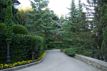 蠕动摄影照片_一根带灯笼的柱子两侧是植物的绿芽，站在公园的小径附近，黄色的花朵沿着路缘轮廓蠕动。